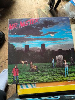 Mr mister