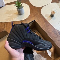 Jordan 11 Black/Dark Concord