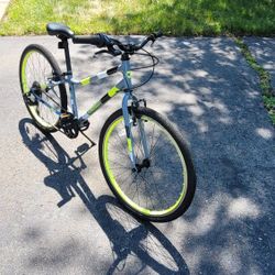 Guardian Bike, Gray/Green 24 inch Wheel for Boys