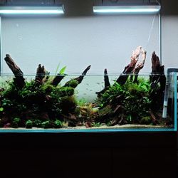 Aquarium Shop Orlando Florida 