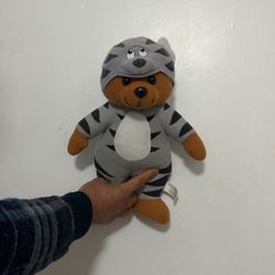 Raccoon Bear