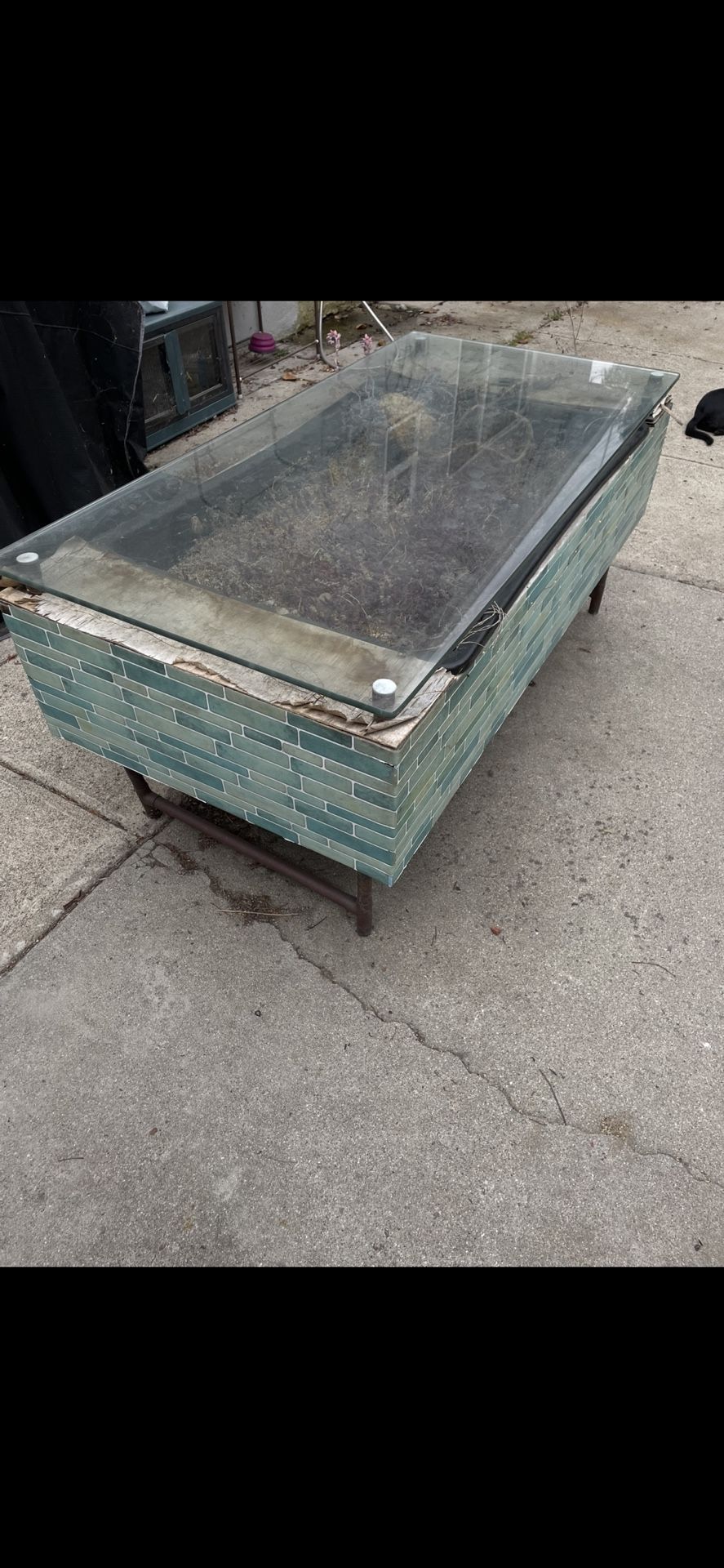 Outdoor Succulent Table