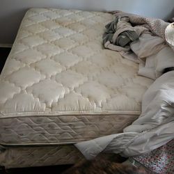 Full Size Bed And Box Springs W/ Frame