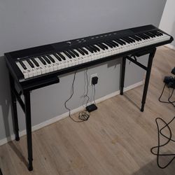 Williams Piano/ Keyboard 