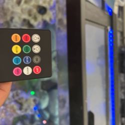 75 gallon fish tank With Stan