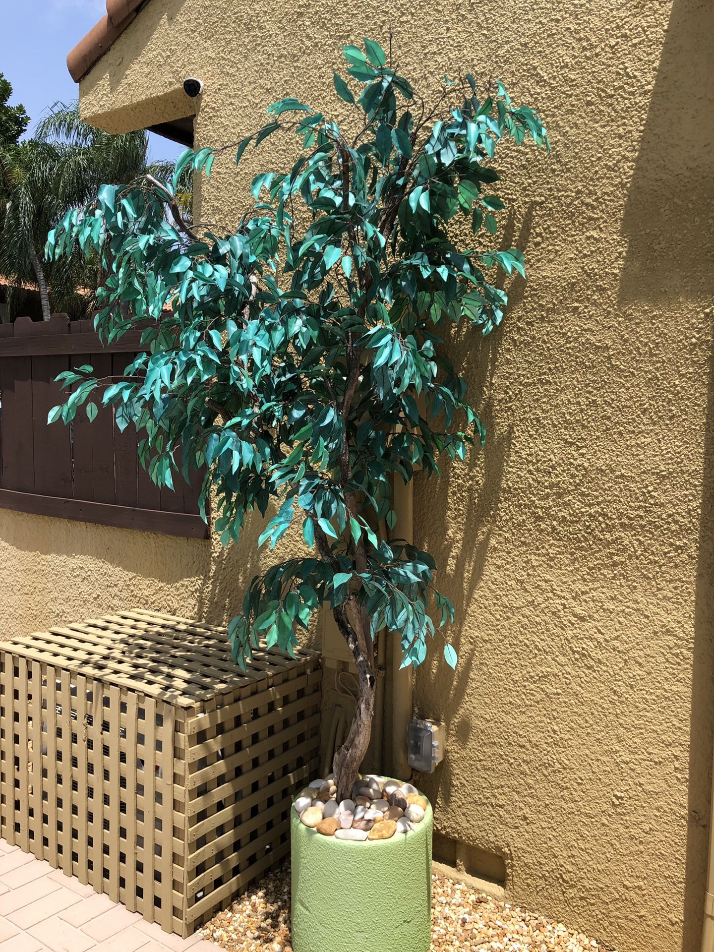 Fake ficus tree plant with custom heavy base