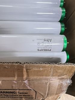 fluorescent light