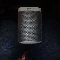 Sonos Play 1