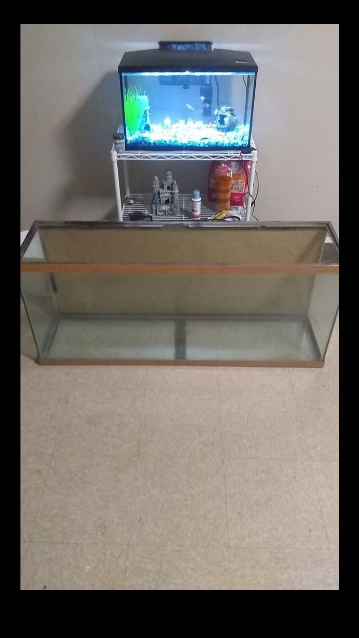 55 gallon fish tank