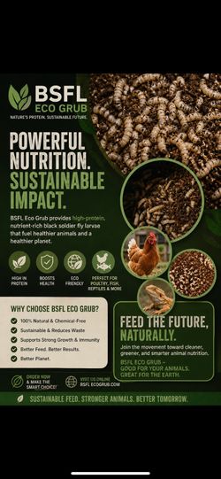Dried black soldier fly larvae
