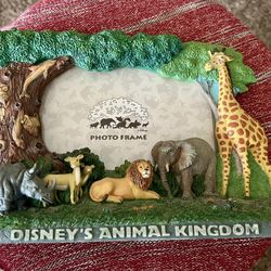 Disney’s Animal Kingdom Safari Photo Frame – 3D Animals (Lion, Elephant, Giraffe, Rhino) 🦁🐘🦒