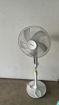 Big fan