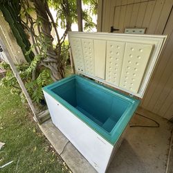 Chest Freezer Cold Plunge