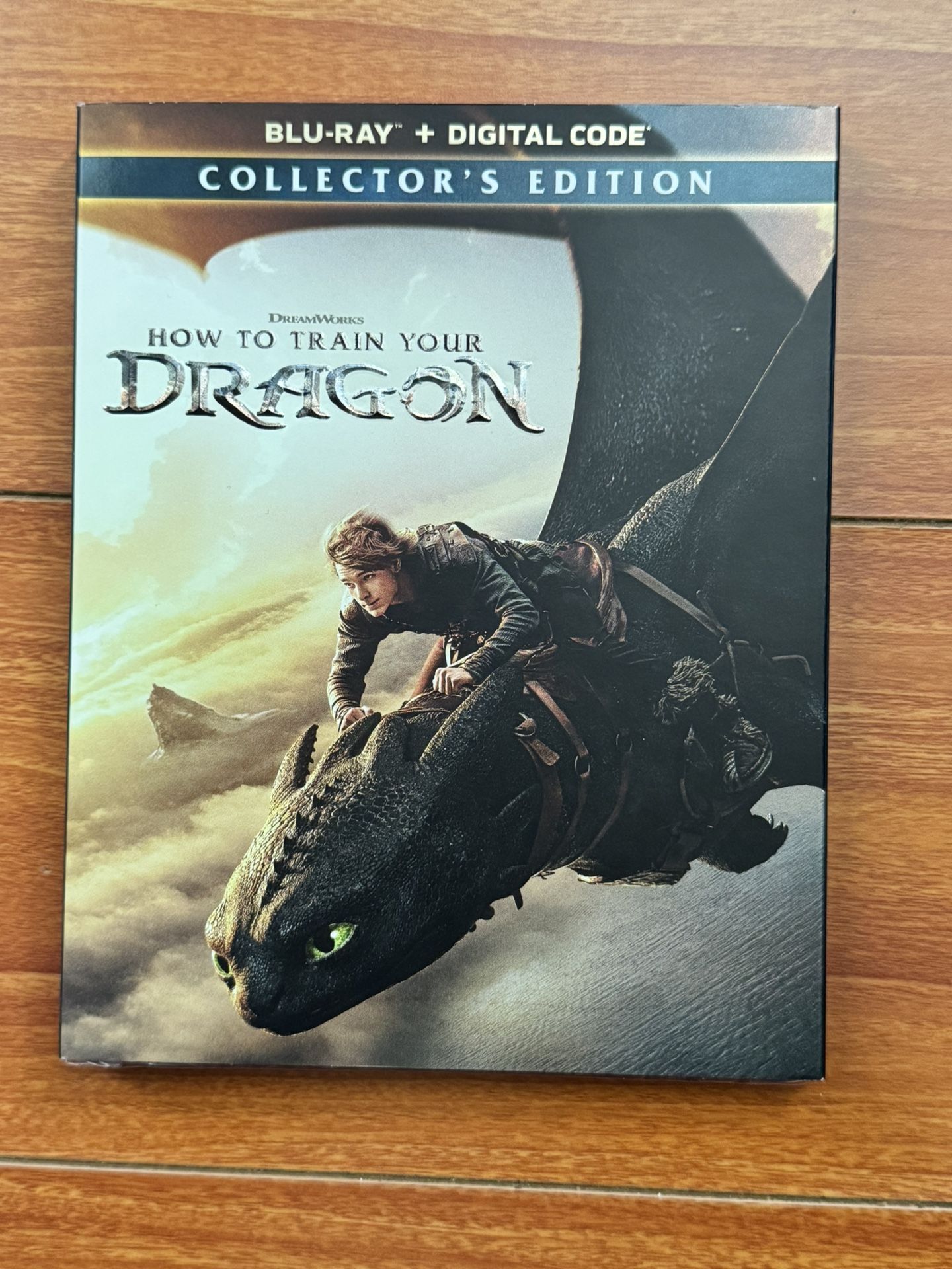 How To Train Your Dragon