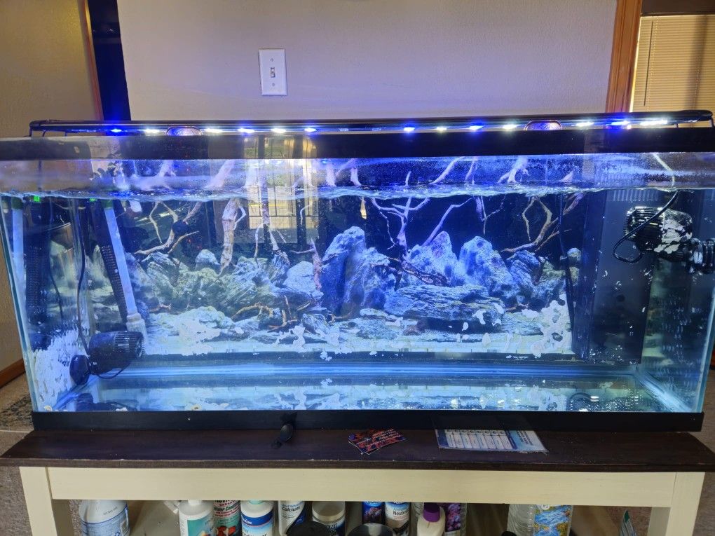 Glass aquarium 55 gallons