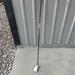 Golf Club  (Taylormade) 