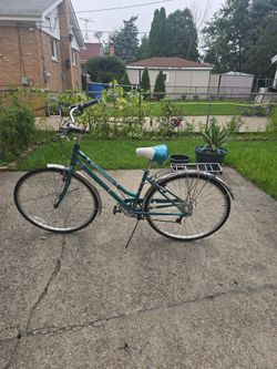 Adult Bike 28in