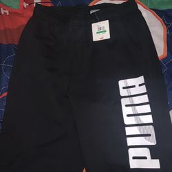Puma Shorts 