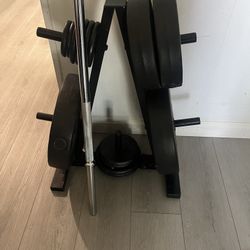 Olympic Weight Plate Tree & Bar