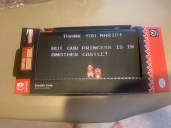 Nintendo switch case