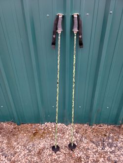 The Royal Shaft Ski Poles Green Black