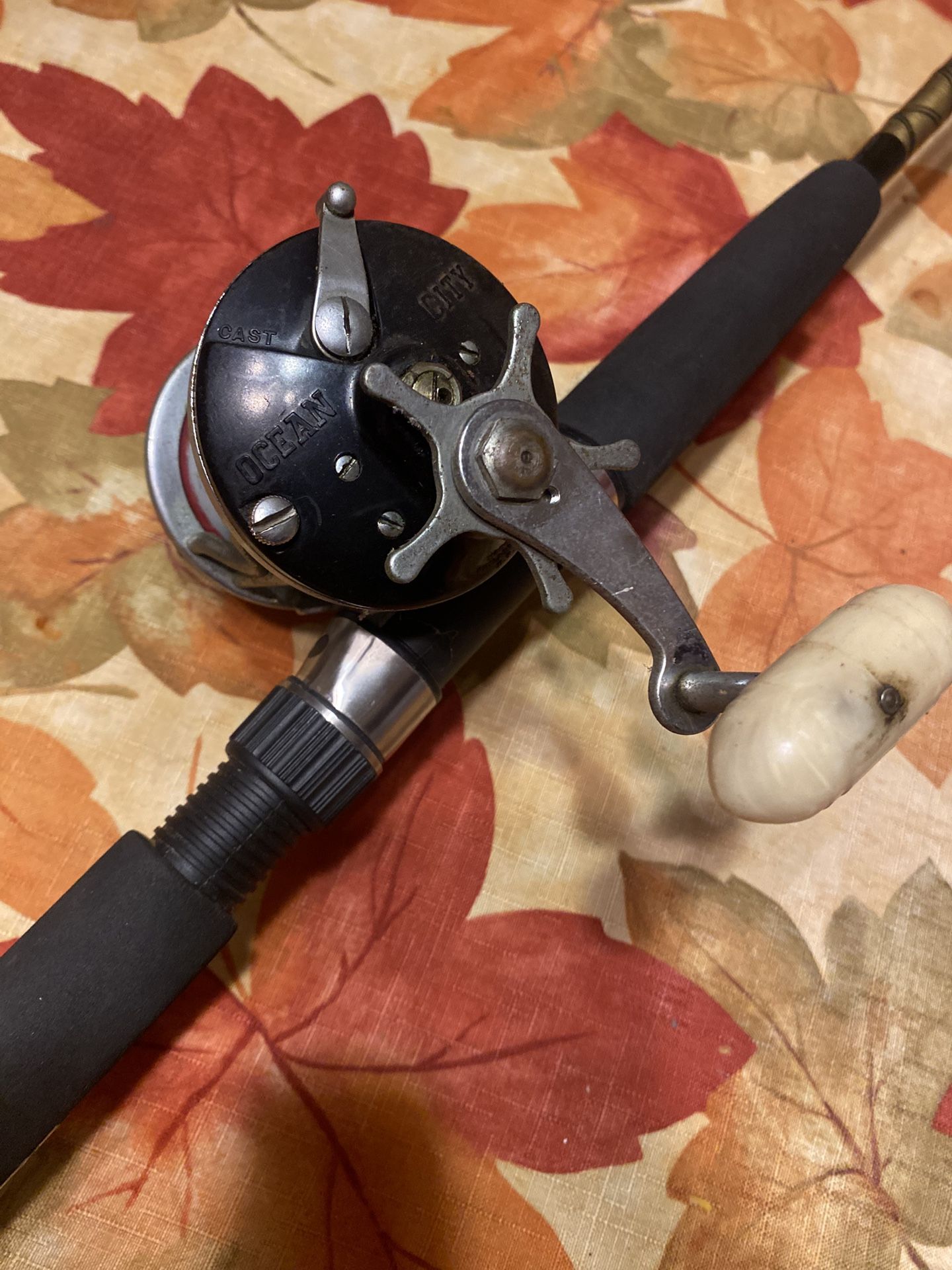 Fishing Pole Salt Water Combo St. Clair 6’5”