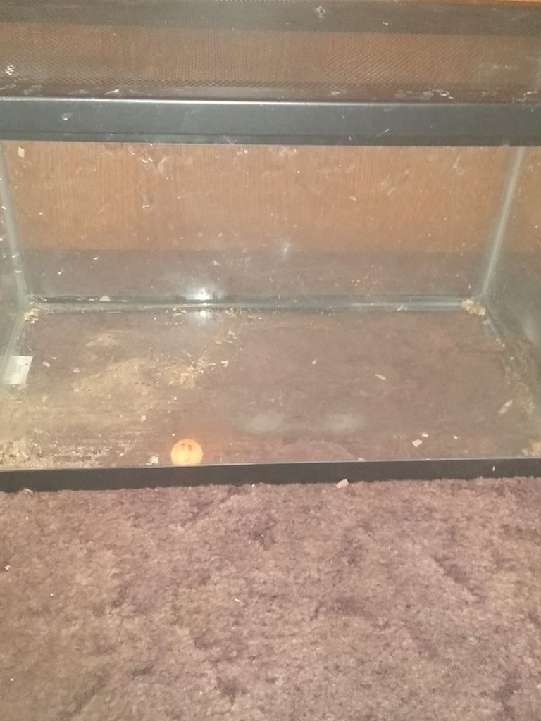 10 Gal Reptile Tank With Lid 