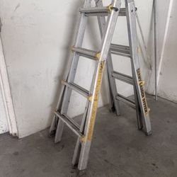 Ladder (Little Giant Ladder)