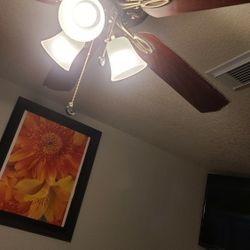 Ceilings Fan's 