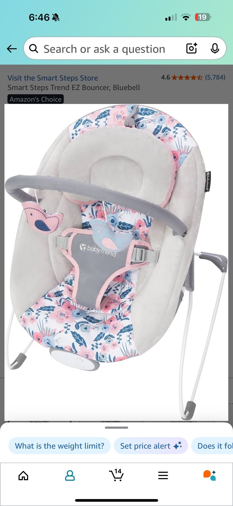 Baby Bouncer