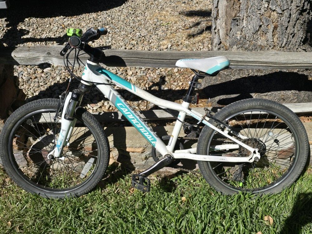Cannondale Bike For Kids, 20" Wheels, Aluminum Frame