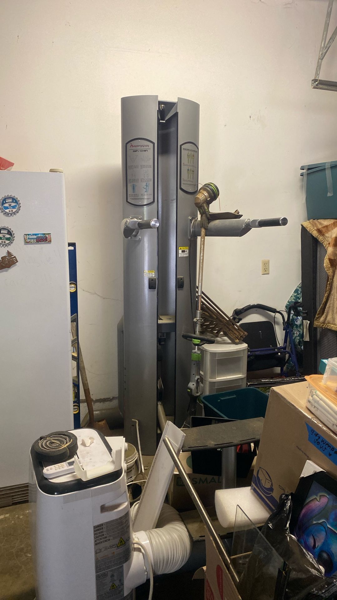 Freemotion Epic Dip/Chin Workout Machine