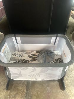 Baby Bassinet