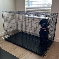 Brand New In Box! Not A Returned Item! 42" Xl'xxl Up To 90lbs Dog Crate 2 Doors & Tray Pet Cage Jauls De Mascota 