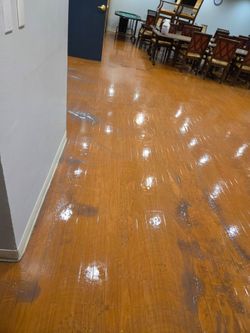 Piso nuevos