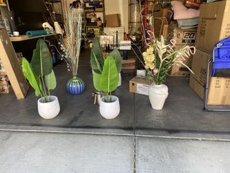 Multiple Y Variations De Cosas A $5 Dólares Cada Una 