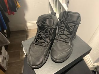 Jordan 12 retro
