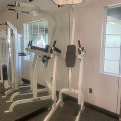 Hoist Powertower Commercial Gym Equipment Exercise Fitness 