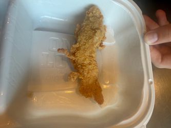 Dinosaur raising Cane’s chicken nugget