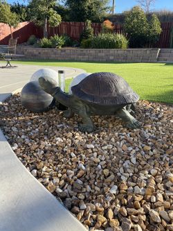 Concrete Turtle (Ornamental Landscape)