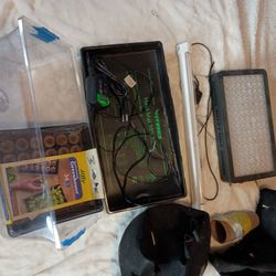 Growing Stuff For Plants