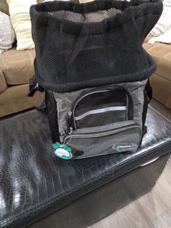 Backpack for a small dog.