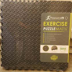 Prosurcefit Exercise Puzzle 