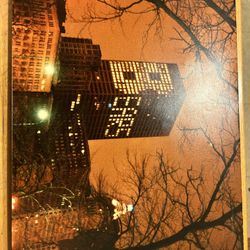 Beautiful Chicago Bears portrait