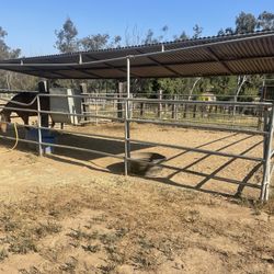 Pasture Space And Stalls Available 