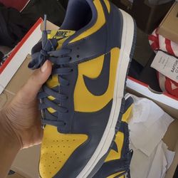Dunk Low Michigan * Size 11* *Used*