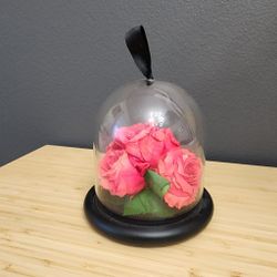 Only Roses In Bell Jar - Real Roses Last For Years 