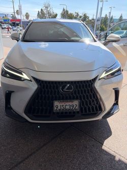 2024 Lexus NX 450h+