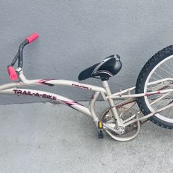 a bicycle trailer 