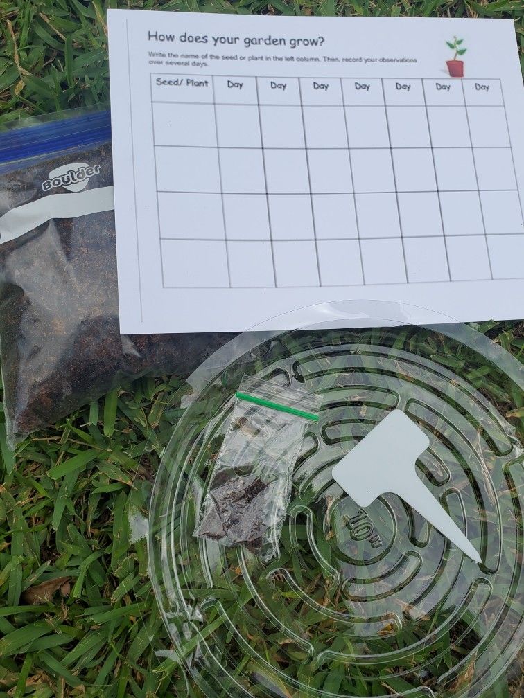 Kids Microgreen Growing Kit